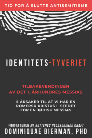 Identitets-Tyveriet