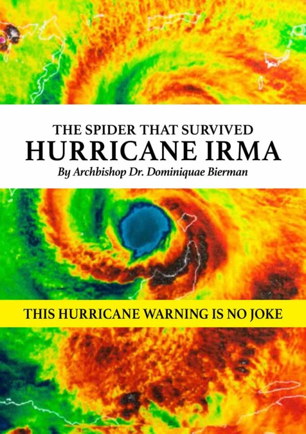The Spider That Survived Hurricane Irma