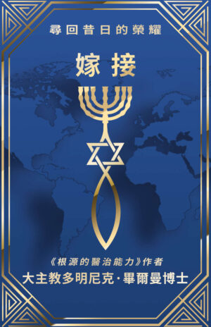 嫁接
