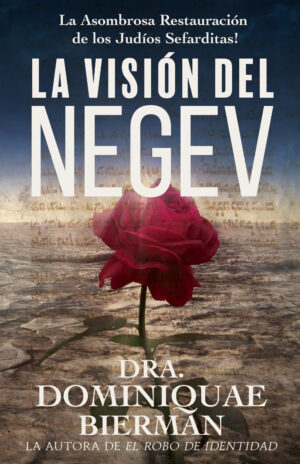 Visión Negev